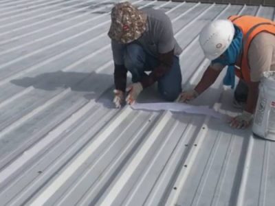 Professional Roof Maintenance